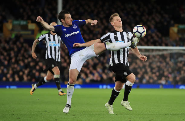 定奠定了基 定奠定了基