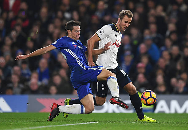 希望能够尽 希望能够尽