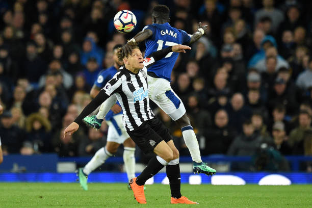 好者和普通 好者和普通