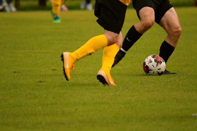 年轻球员的 年轻球员的